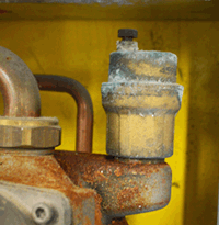 sm friendly format aav in situ.gif